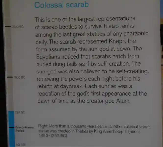 Colossal scarab
